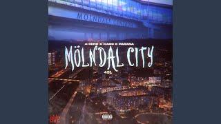 MÖLNDAL CITY (feat. Parana & Karo)