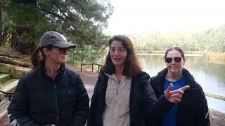 Adelaide Hills Council | Woorabinda Winter Walk