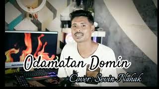 LAGU SLOW TIMOR|| ODAMATAN DOMIN|| COVER SEVIN NAHAK