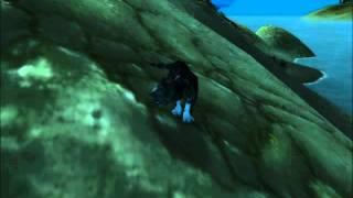 Playing with world of warcraft vanity pet - Black Tabby Cat