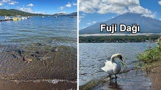 Gece Otobüsüyle Gittiğimiz Japonya'nın İkonik Yeri Fuji Dağı, Yamanaka Gölü ve Gotemba Şehri