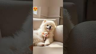 Watch a Puppy and Piglet Melt Your Heart!"#cats #cute #piglet #youtubeshorts #puppy