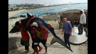 Norwegian traveler, Gunner Garfos in MOGADISHU LIGHTHOUSE | SOMALIA TRAVEL & TOURISM GUIDE