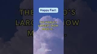 ️ and it looks amazing! ️ Check out this fun and happy fact! #facts #shorts #trending