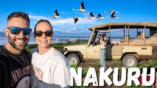 Our First Ever Safari in Nakuru Kenya Surprised Us