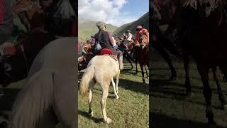 Талас Аламан