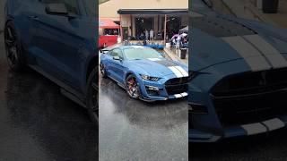 Greatest Mustang of All Time? 