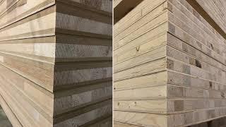 Poplar Plywood and Blockboard: production and products overview