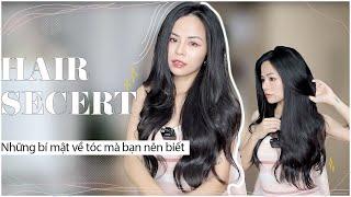 Những Bí Mật Về Tóc Bạn Nên Biết  Làm Sao Để Tóc Khoẻ, Dài Nhanh  Tuta.nguyen