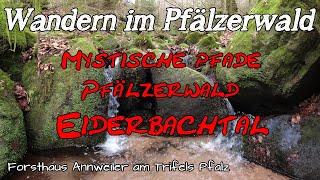 Mystische Pfade Pfälzerwald Eiderbachtal Eins der schönsten Täler im Pfälzerwald Wandern Pfalz