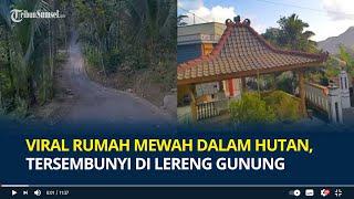 Viral Deretan Rumah Mewah dalam Hutan Banyumas, Tersembunyi di Lereng Gunung, Begini Penampakannya