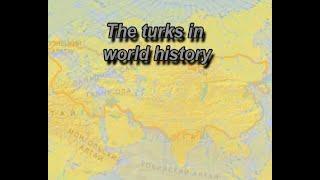 The turks in world history