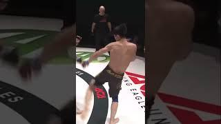 MMA K.O. Most INCREDIBLE Right Hook I Out Cold !