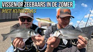 VISSEN OP ZEEBAARS MET KUNSTAAS IN DE ZOMER