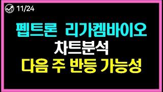 펩트론  리가켐바이오 월봉 주봉 일봉 차트분석 | 다음 주 반등 가능성