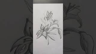 Mohammed Affan drawing|drawing of butterfly with flowers|please subscribe the channel