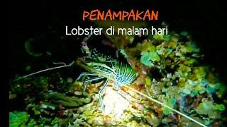 NIGHT SPEARFISHING EPISODE 1 | PENAMPAKAN LOBSTER BAMBU DI MALAM HARI