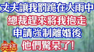 丈夫讓我罰跪在大雨中，總裁趕來將我抱走，申請強制離婚後，他們驚呆了！