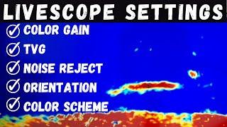 LiveScope Settings UPDATED | Get a CLEAR Picture (Garmin LiveScope Plus LVS34)