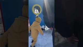 Томпи