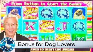 Maltese Fortune Slot Machine Bonus for Dog Lovers