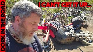 I Rode the Hardest Sections of the Oregon BDR SOLO on a Honda CRF300L Rally