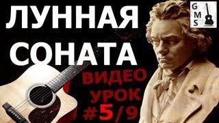 ЛУННАЯ СОНАТА Л. ван Бетховен на Гитаре - 5/9 видео урок. GuitarMe School | Aleksunder Chuiko