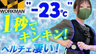 【瞬間冷却】ワークマンのペルチェベスト！電気で冷やす不思議な服。水冷服より冷えるか？