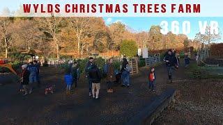 Wylds Christmas trees farm