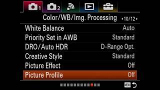 Sony A99II Settings for Sports/Action Photography