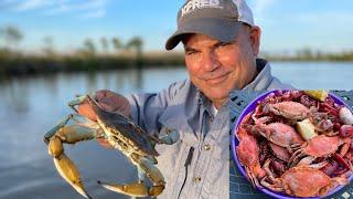 Louisiana Blue Crab (Catch & Cook) Boiled Crabs & Crawfish