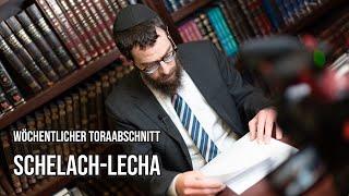 Schelach-Lecha | Rabbiner Shmuel Havlin