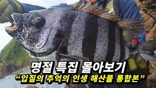 최근 3년 동안 맛본 '인생 해산물' 몰아보기 통합본