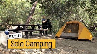 Silent Camping Video for Relaxation - Millard Falls, California