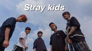 A quick lil guide to stray kids