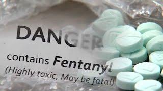 Drug Free Duval questions proposal to reschedule fentanyl as continues education efforts