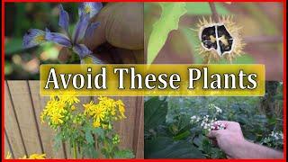 5 Poisonous Plants You NEED TO KNOW!!