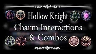 Hollow Knight - Charm Interactions and Combos