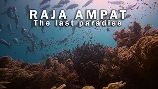 Raja Ampat Liveaboard 2020 with Mermaid I  | Best scuba diving in the world | Sony A6300