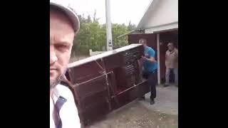 КОМПАНИЯ АЛЬФАТРАНСМАСТЕР УСЛУГИ ПРОФЕССИОНАЛЬНЫХ ГРУЗЧИКОВ БЕЛАЯ ЦЕРКОВЬ 0679330550