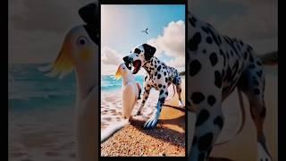 Birds and animals mix video #animals #shorts #sorts