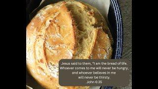 The Eleventh Sunday after Pentecost 8/4/2024