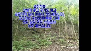 [송하사]송하사에서 송하자연미륵불로 가는길