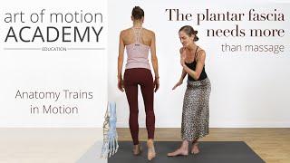 The Plantar Fascia Needs More Than Massage | Anatomy Trains in Motion