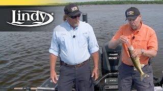 Trolling For Shallow Dirty Water Walleye