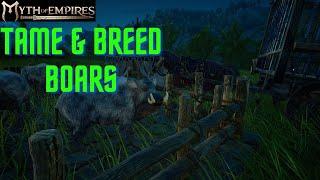 Guide to taming and breeding boars ANIMAL FAT FARM! - Myth of Empires
