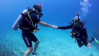 The Dive Academy   Diving Centre   Koh Samui   Thailand