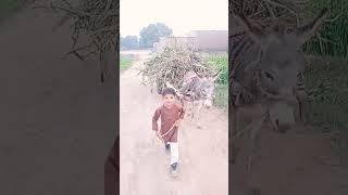 Meri Jindagi yahi hai Meri Jindagi Aneel Shahzad  my YouTube channel Aneel production