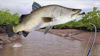 Catching Barramundi During a Tough Bite... A Simple Strategy