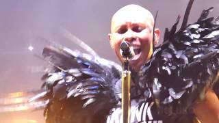 SkunK AnansiE Stupinigi Sonic Park